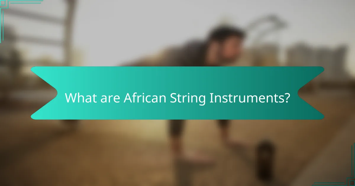What are African String Instruments?