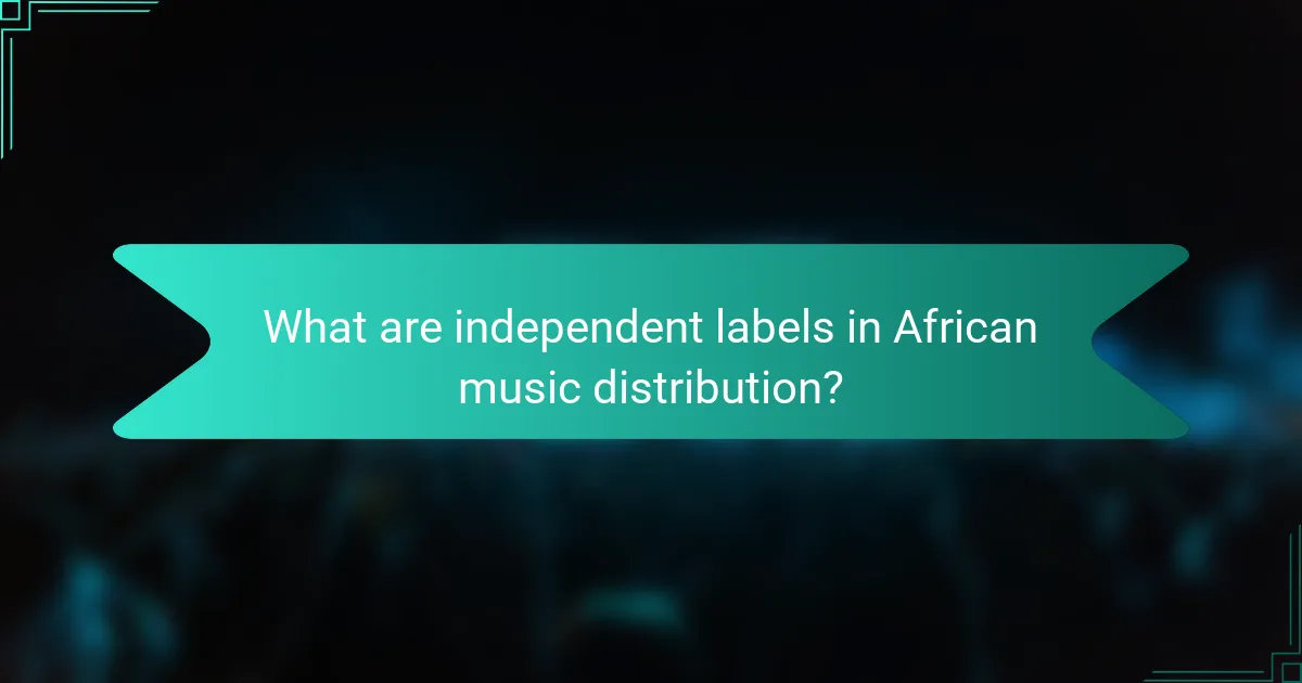 What are independent labels in African music distribution?