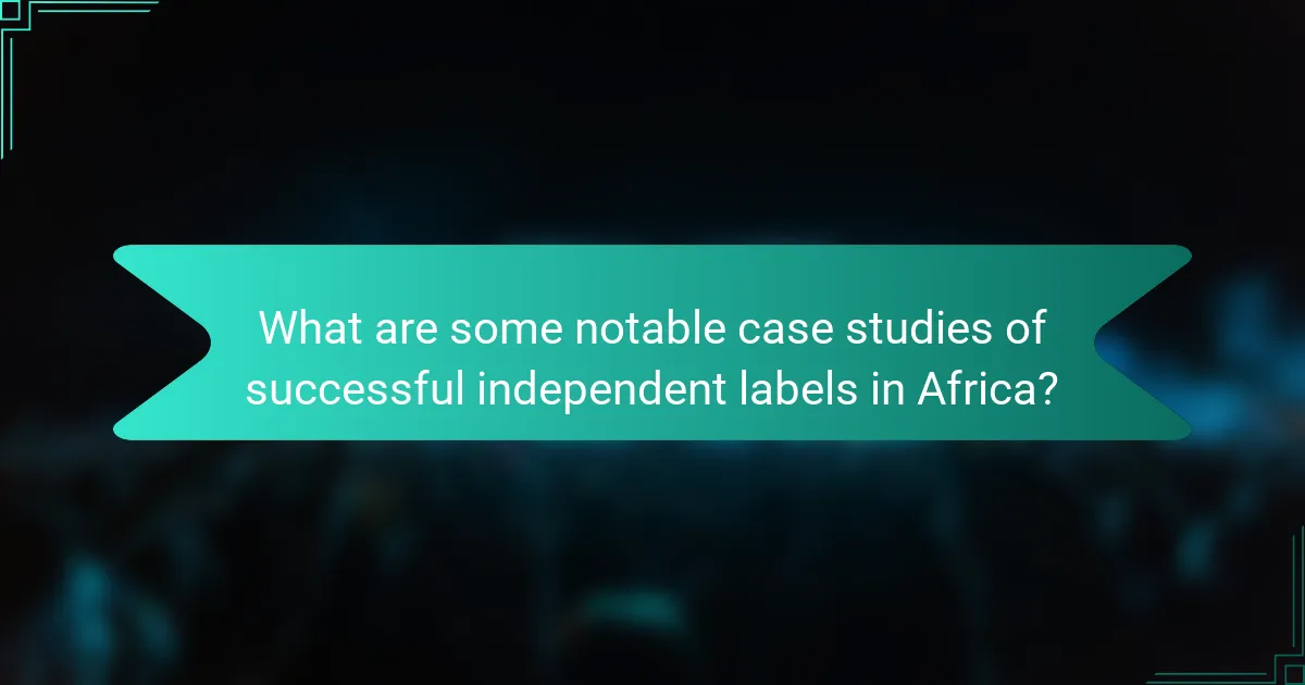 What are some notable case studies of successful independent labels in Africa?