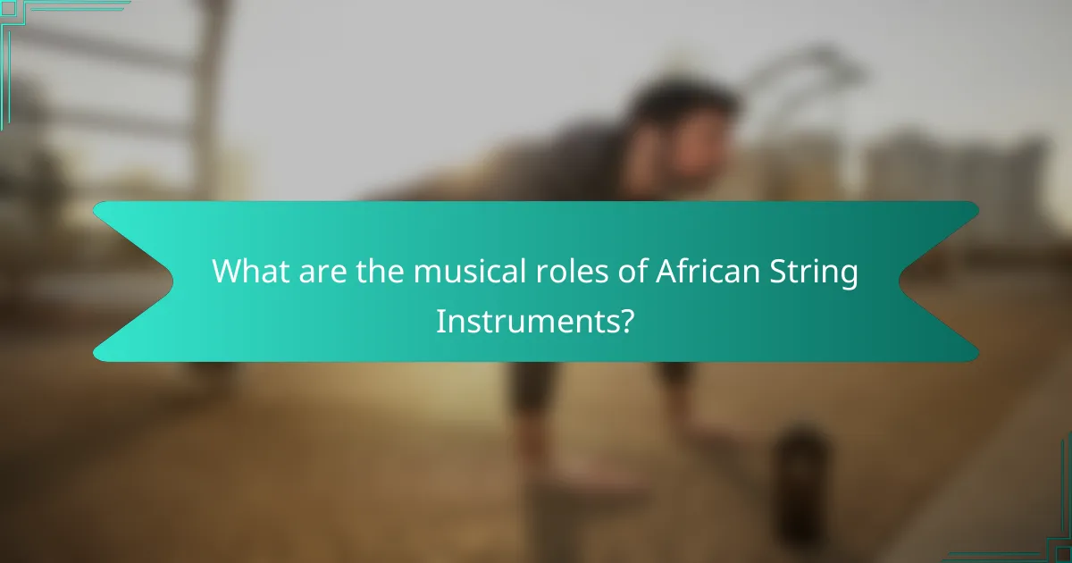 What are the musical roles of African String Instruments?