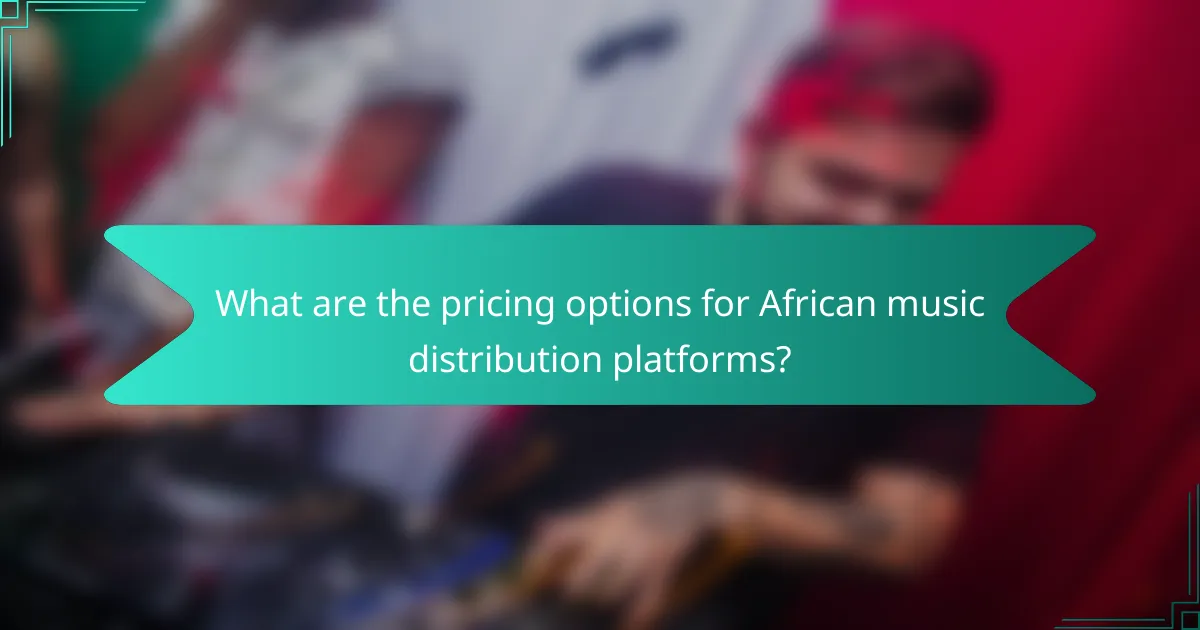 What are the pricing options for African music distribution platforms?