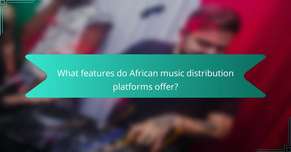 What features do African music distribution platforms offer?